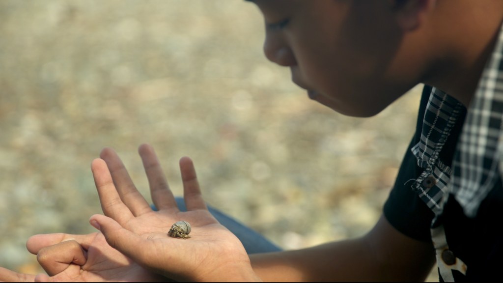 Filmdienst gives 4 star Review to Last Days at Sea