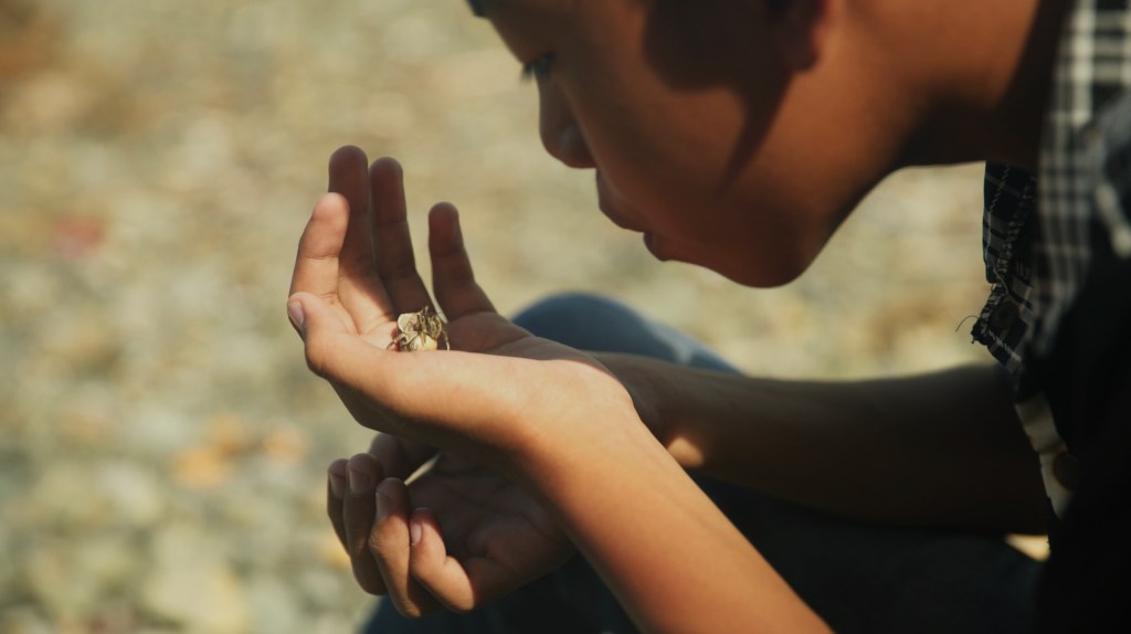  Le Polyester gives 4 star Review to Last Days at Sea