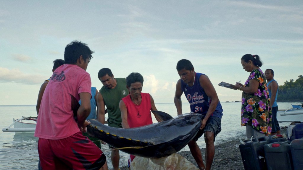 Syndicado Boards "Last Days at Sea"