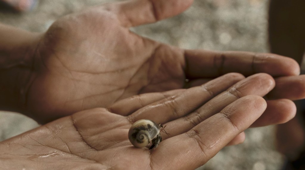 Goethe Institute China 